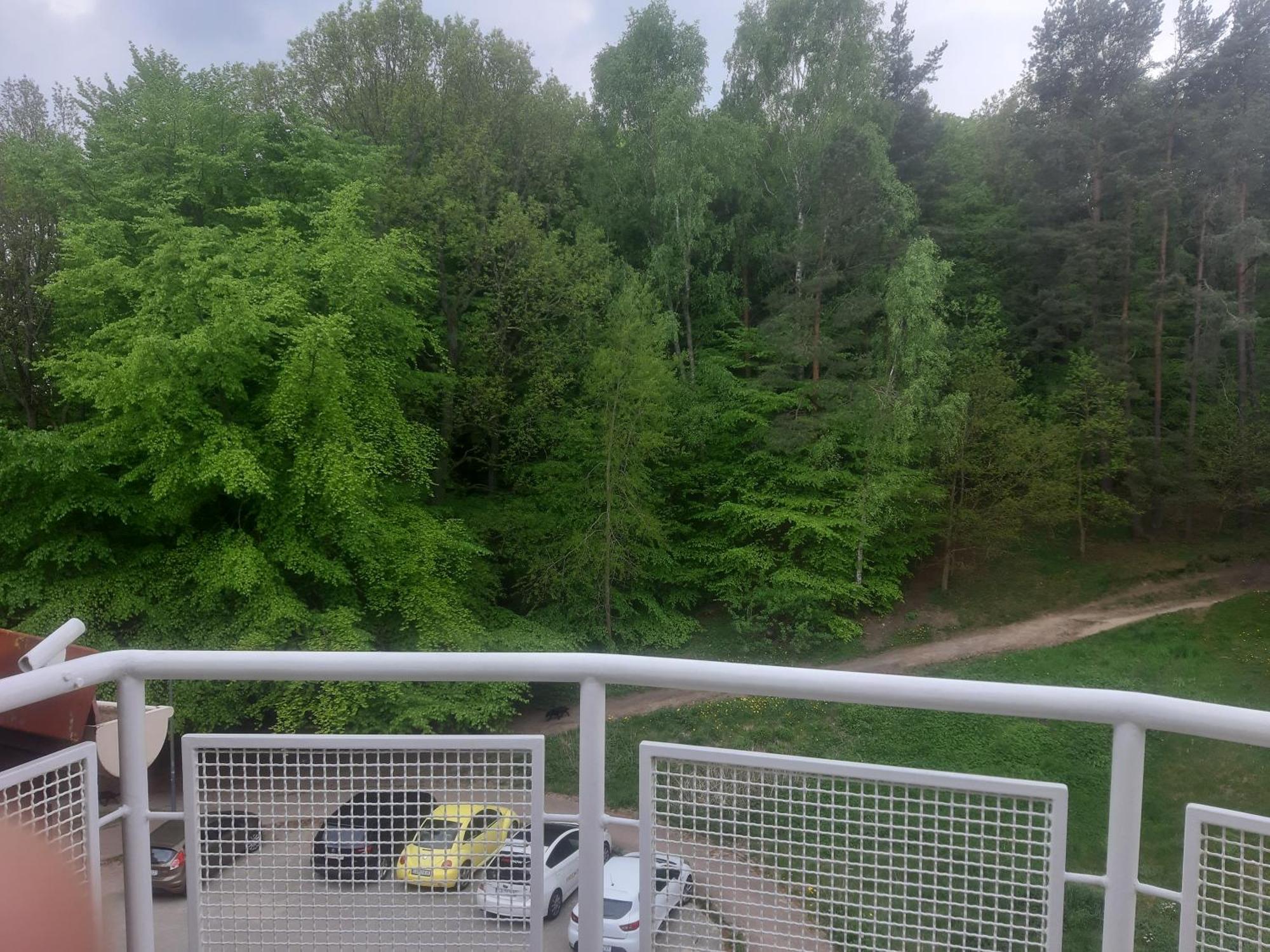 Lesny Loft Appartement Gdynia Buitenkant foto